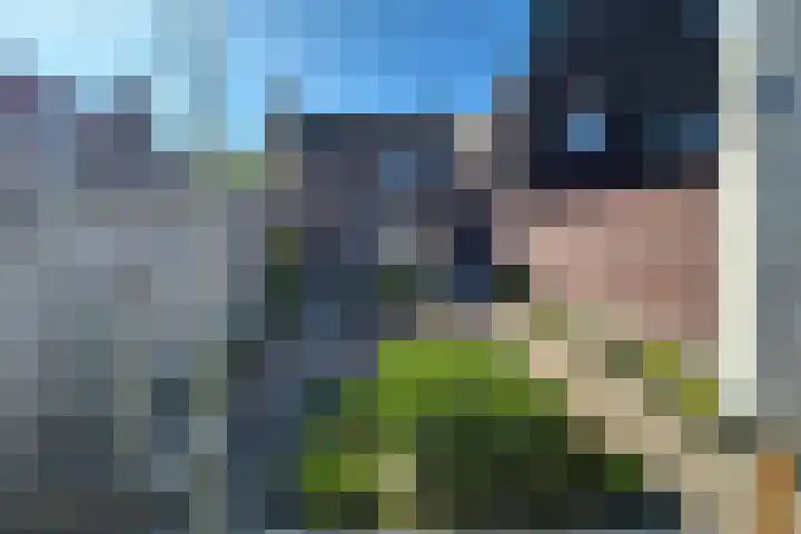 Lagestraat 29 Rijsbergen thumbnail 47