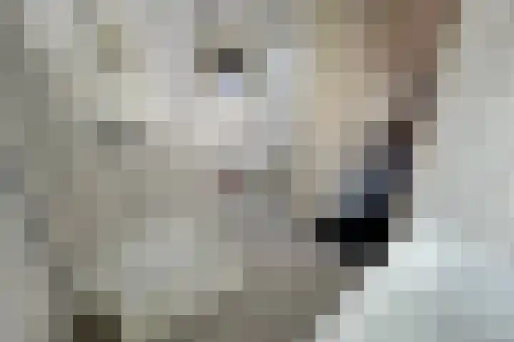 Lagestraat 29 Rijsbergen thumbnail 5