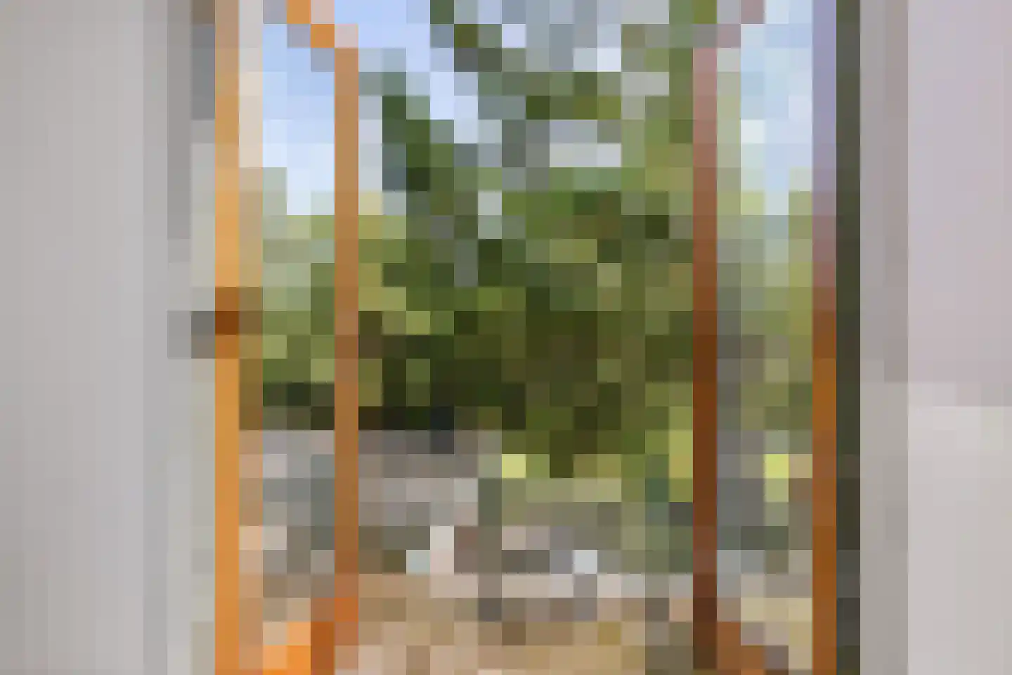Lagestraat 5 Loppersum thumbnail 32