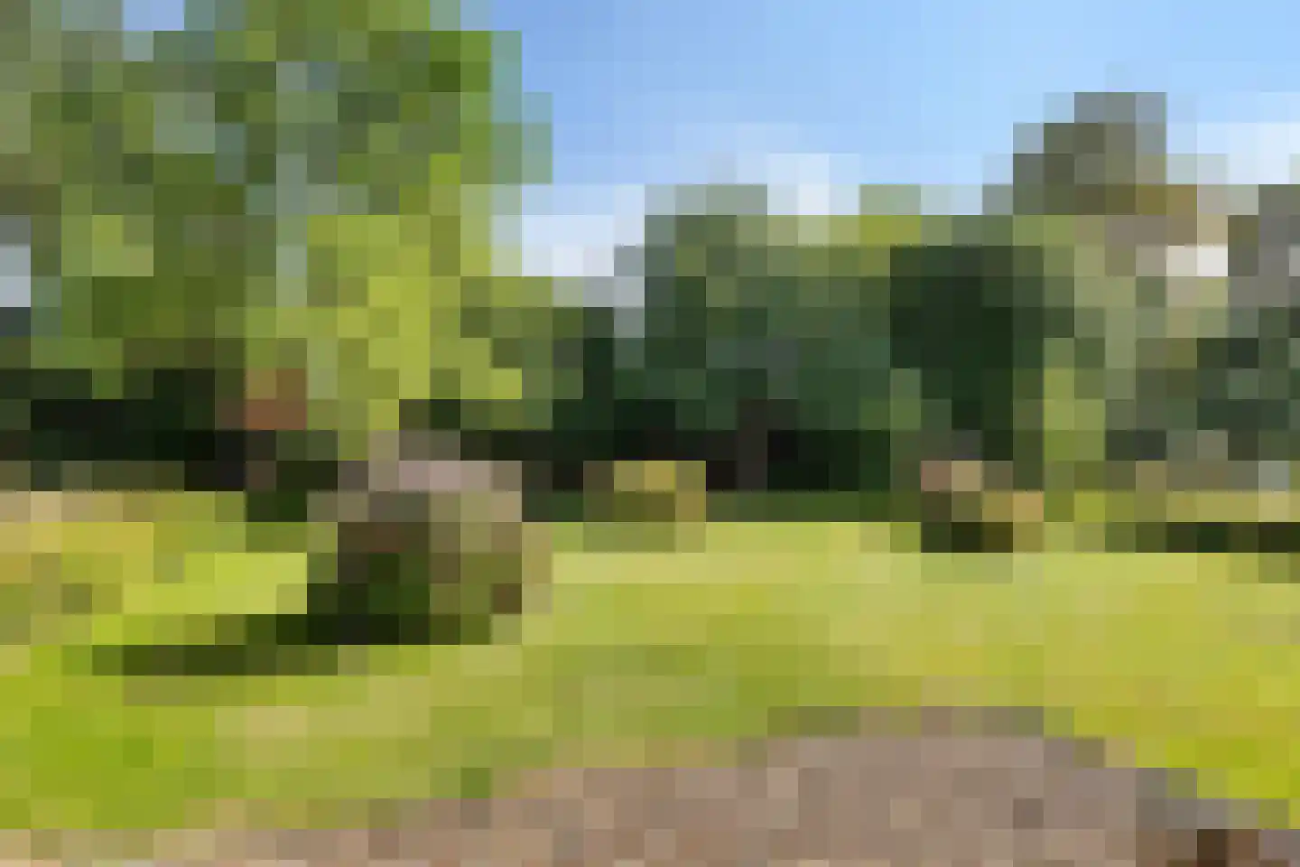 Lagestraat 5 Loppersum thumbnail 39