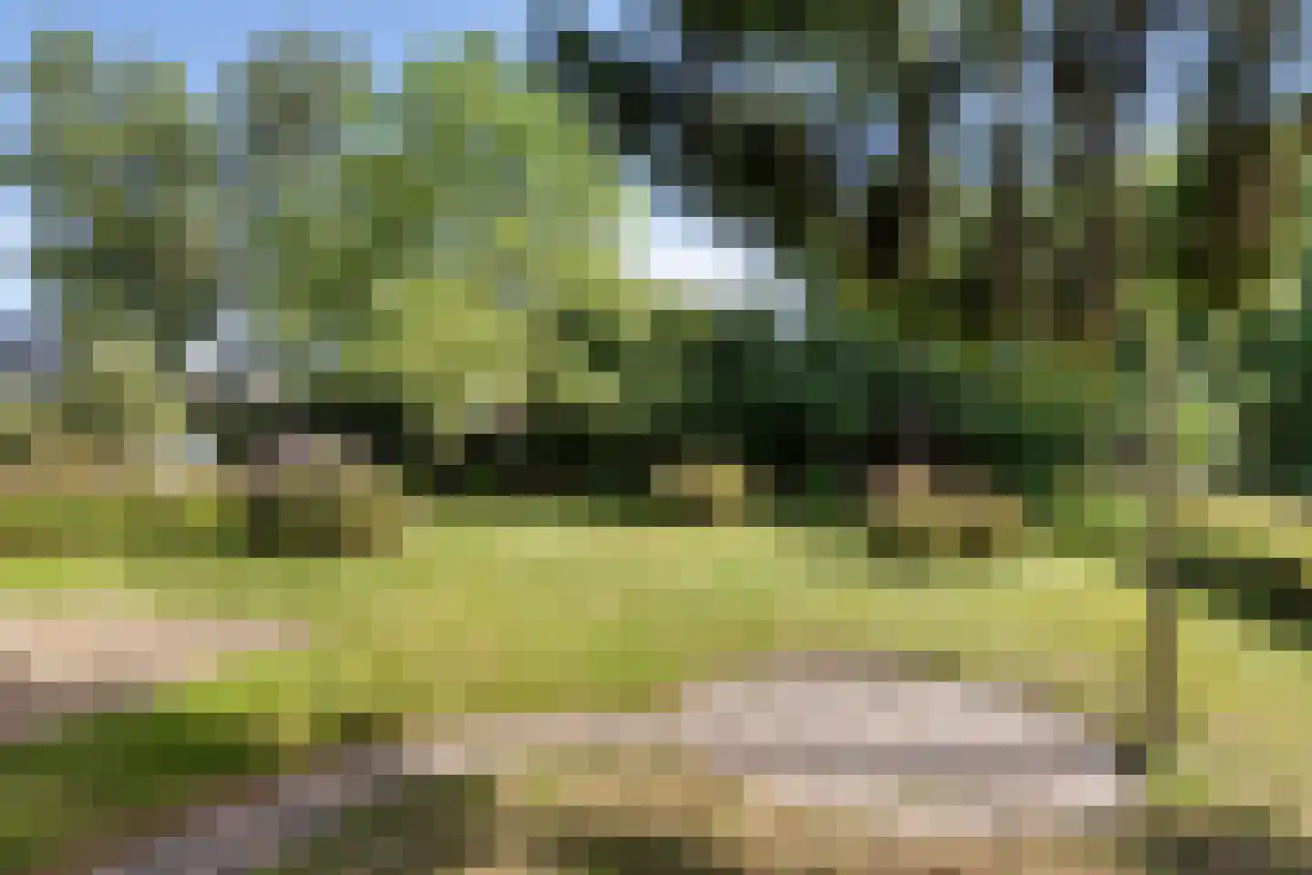 Lagestraat 5 Loppersum thumbnail 4