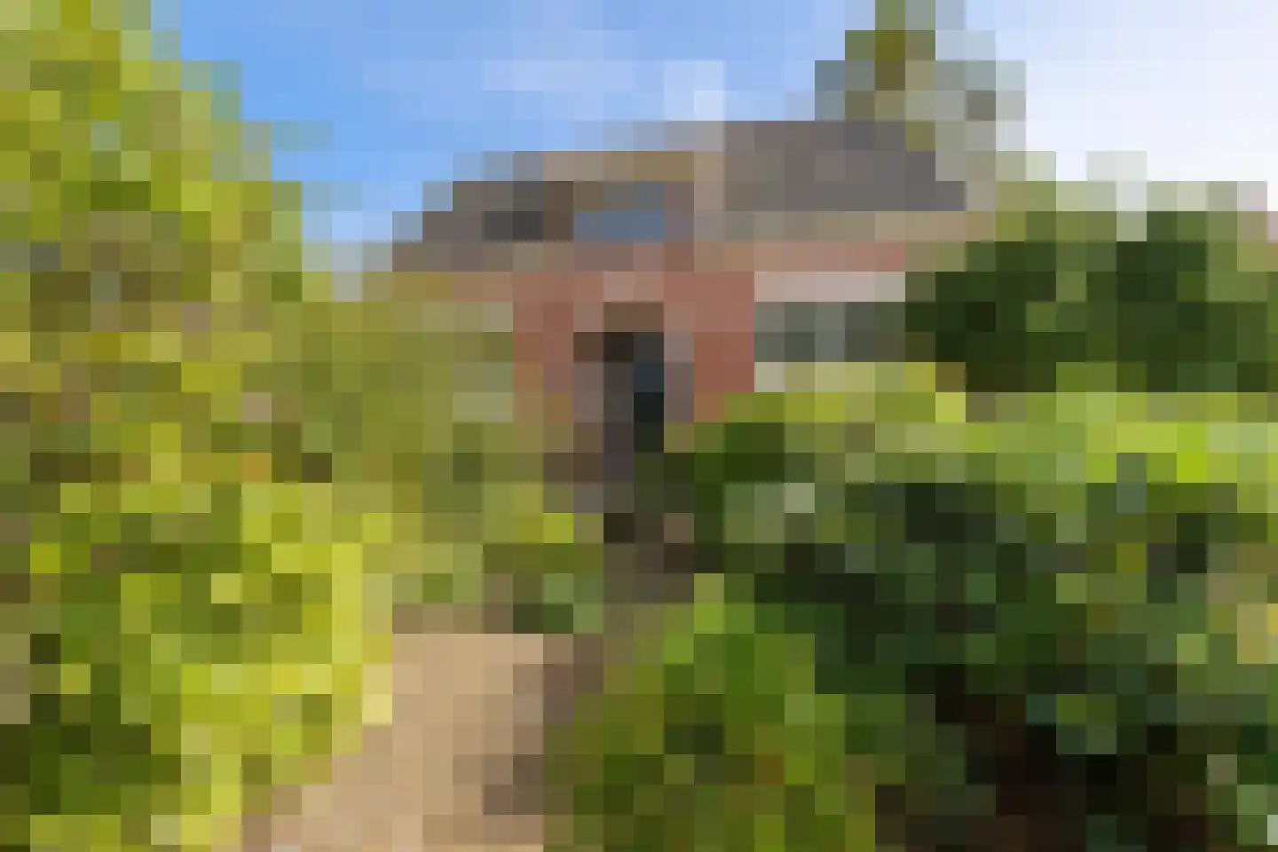 Lagestraat 5 Loppersum thumbnail 6