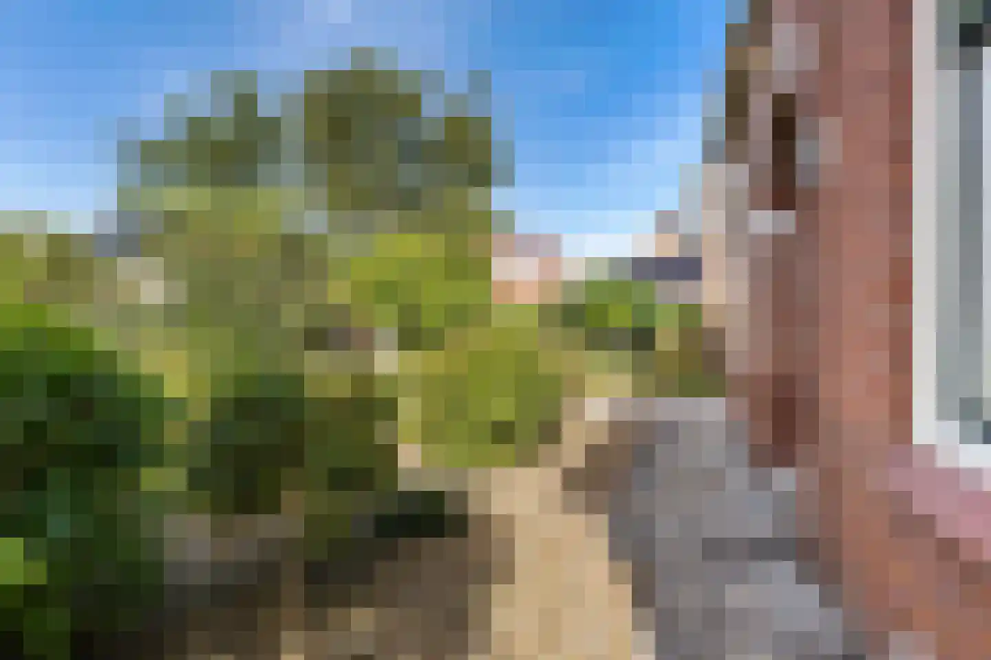 Lagestraat 5 Loppersum thumbnail 7