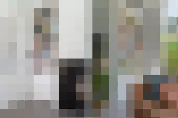 Lagestraat 7 Dieren thumbnail 11
