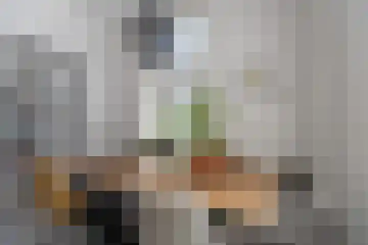 Lagestraat 7 Dieren thumbnail 13