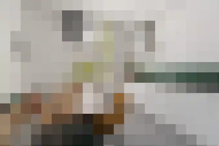 Lagestraat 7 Dieren thumbnail 14