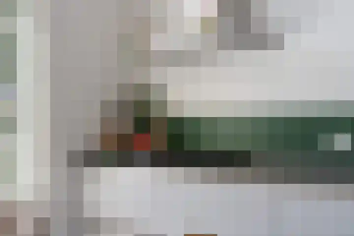 Lagestraat 7 Dieren thumbnail 15