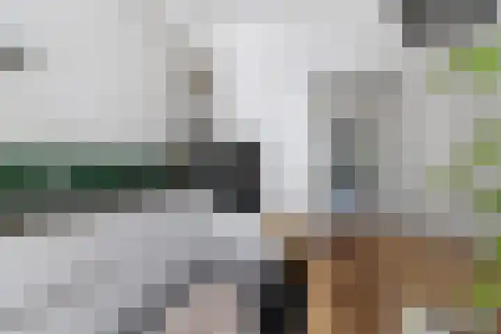 Lagestraat 7 Dieren thumbnail 16