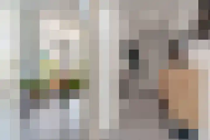 Lagestraat 7 Dieren thumbnail 18