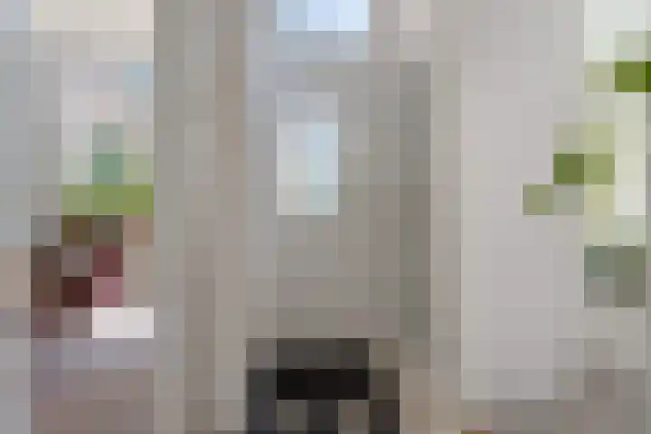 Lagestraat 7 Dieren thumbnail 20