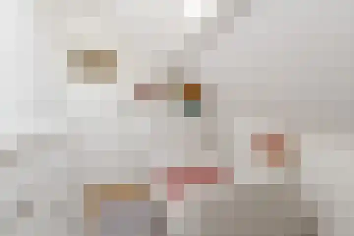 Lagestraat 7 Dieren thumbnail 25