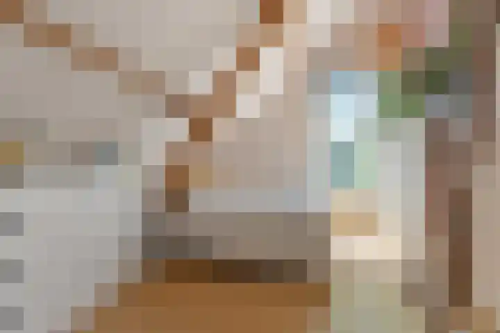 Lagestraat 7 Dieren thumbnail 27