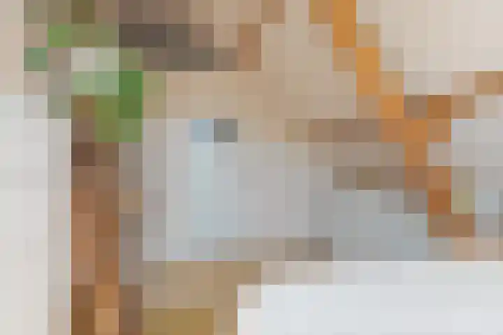 Lagestraat 7 Dieren thumbnail 28