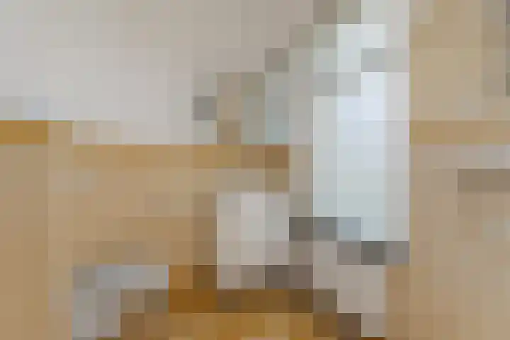 Lagestraat 7 Dieren thumbnail 31