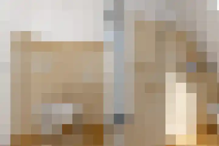 Lagestraat 7 Dieren thumbnail 33