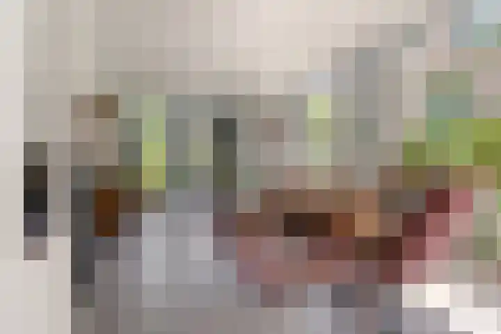 Lagestraat 7 Dieren thumbnail 4
