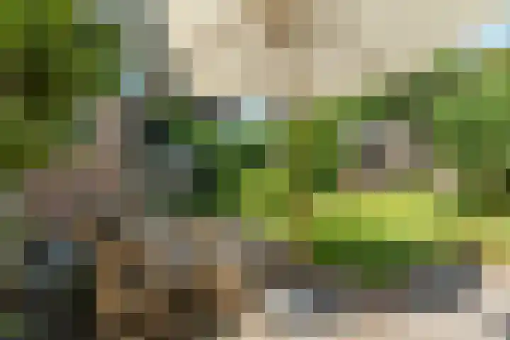 Lagestraat 7 Dieren thumbnail 40