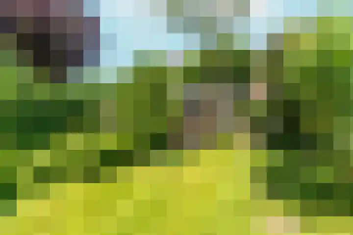 Lagestraat 7 Dieren thumbnail 41