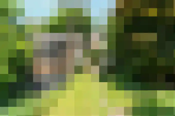 Lagestraat 7 Dieren thumbnail 43