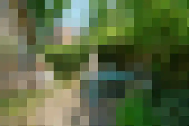 Lagestraat 7 Dieren thumbnail 44