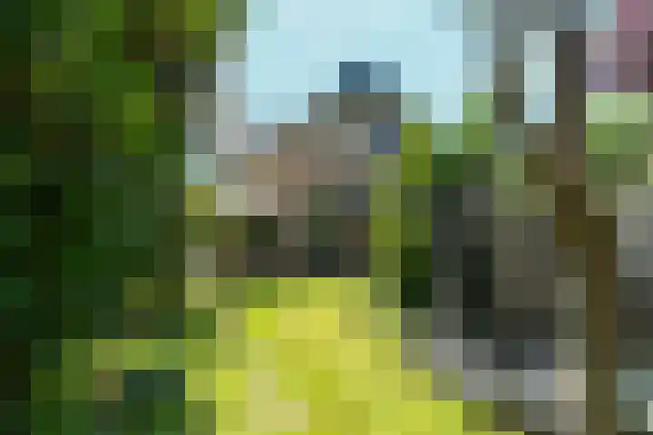 Lagestraat 7 Dieren thumbnail 45