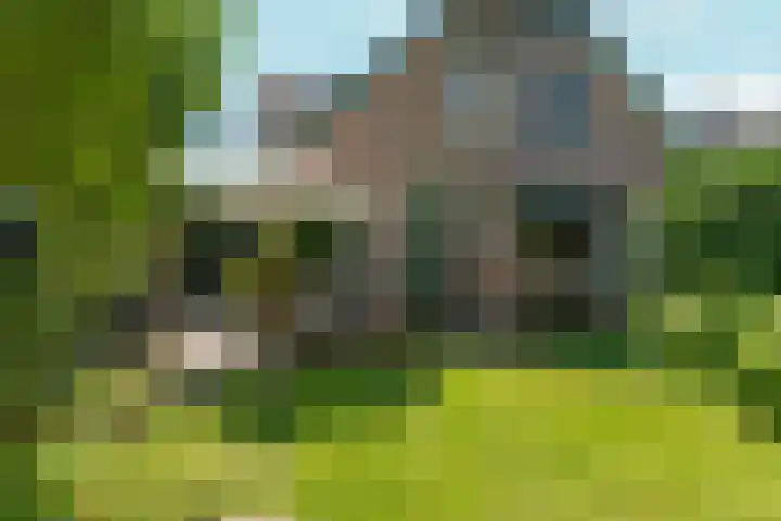Lagestraat 7 Dieren thumbnail 46
