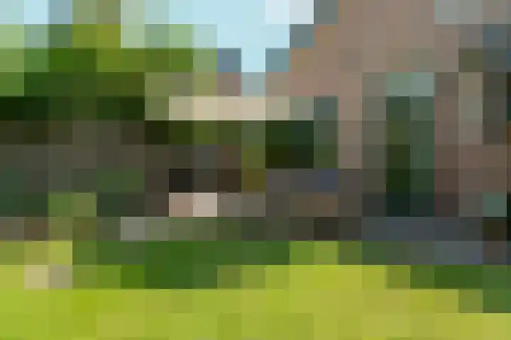 Lagestraat 7 Dieren thumbnail 47