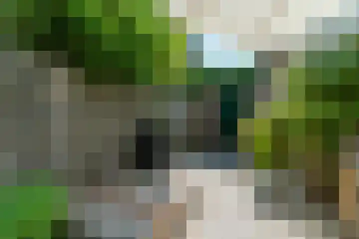 Lagestraat 7 Dieren thumbnail 48