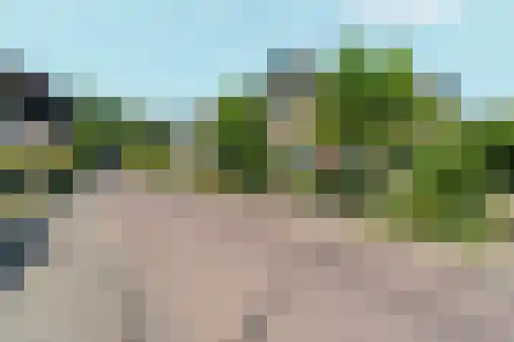 Lagestraat 7 Dieren thumbnail 50
