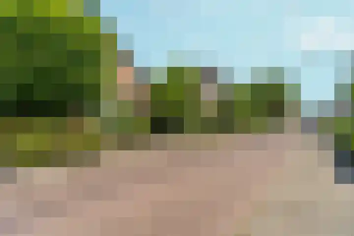 Lagestraat 7 Dieren thumbnail 51