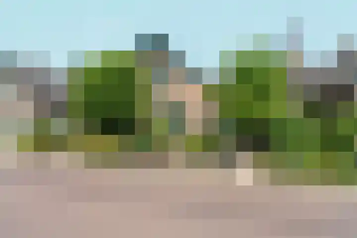 Lagestraat 7 Dieren thumbnail 52