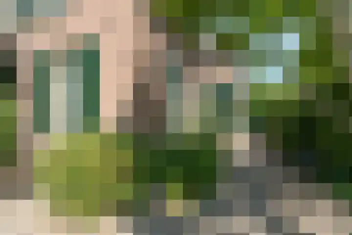 Lagestraat 7 Dieren thumbnail 53