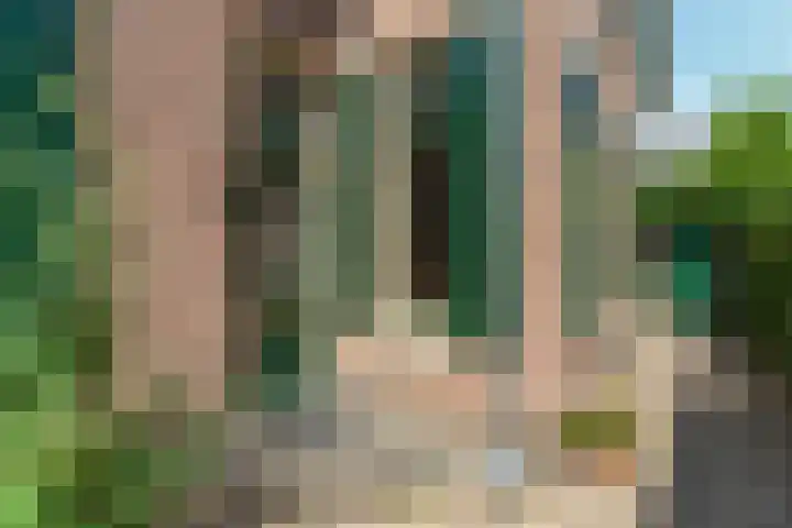 Lagestraat 7 Dieren thumbnail 55