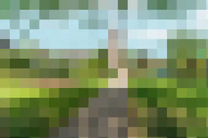 Lagestraat 7 Dieren thumbnail 56