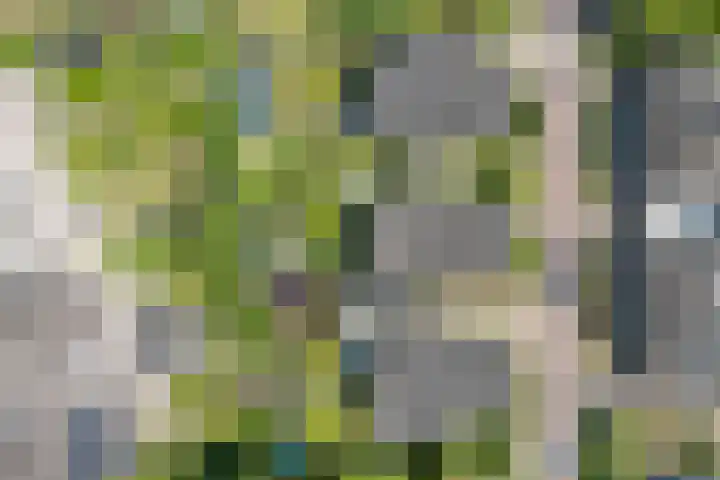 Lagestraat 7 Dieren thumbnail 59