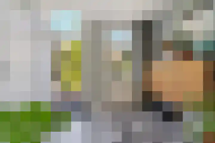 Lagestraat 7 Dieren thumbnail 6