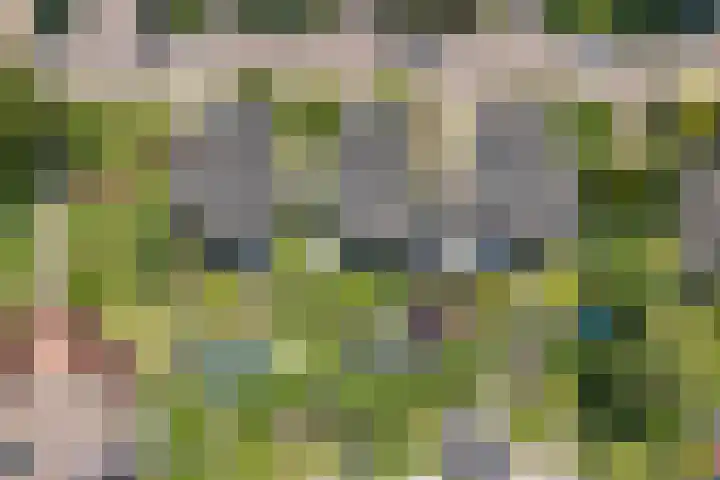 Lagestraat 7 Dieren thumbnail 60