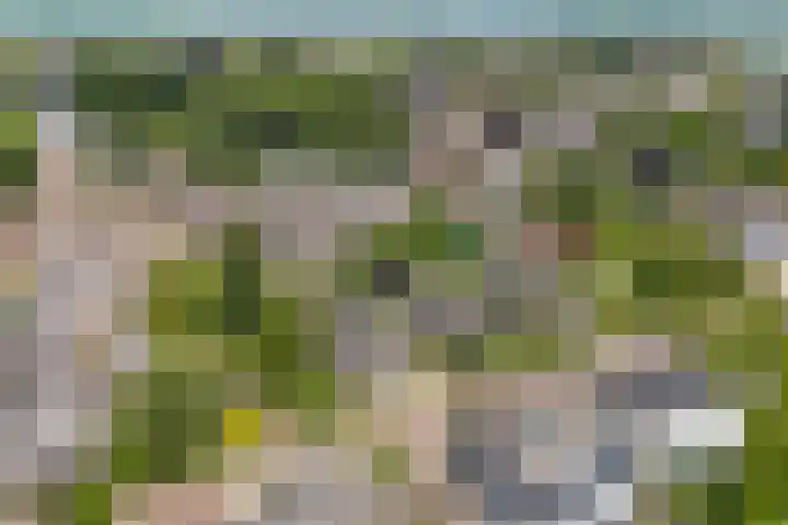 Lagestraat 7 Dieren thumbnail 61