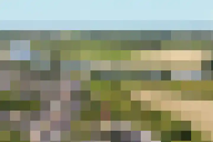 Lagestraat 7 Dieren thumbnail 62