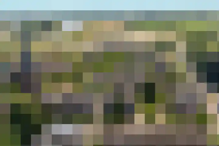 Lagestraat 7 Dieren thumbnail 63