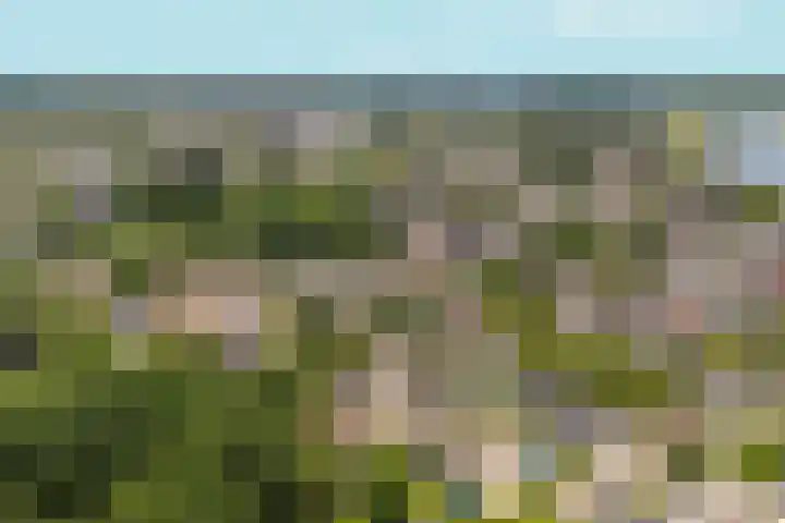 Lagestraat 7 Dieren thumbnail 65