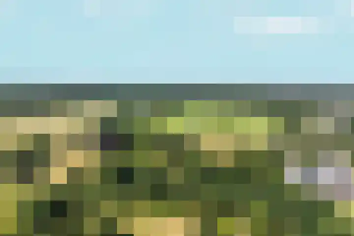 Lagestraat 7 Dieren thumbnail 66