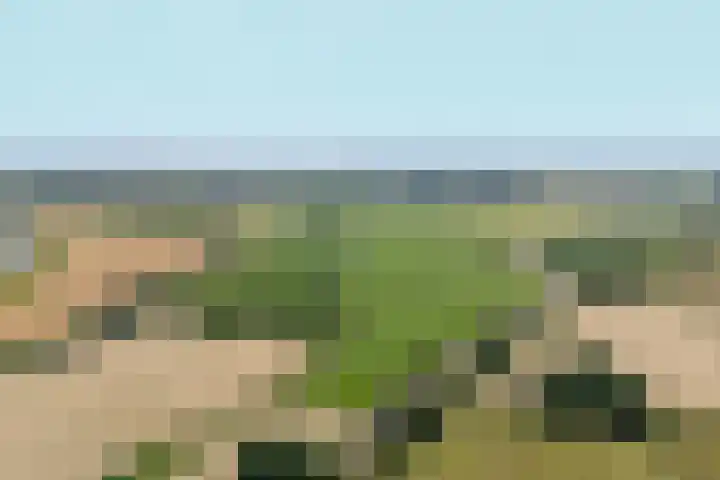 Lagestraat 7 Dieren thumbnail 67