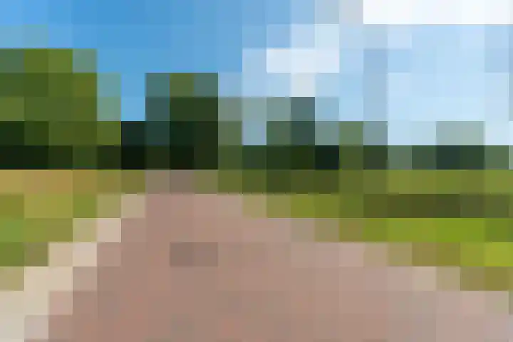 Lagestraat 7 Dieren thumbnail 68