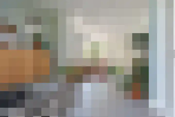 Lagestraat 7 Dieren thumbnail 7
