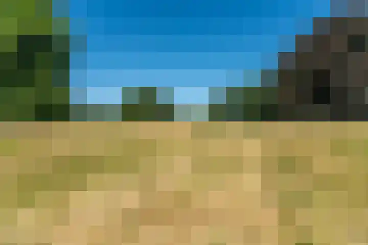 Lagestraat 7 Dieren thumbnail 70
