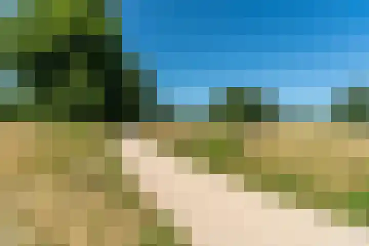 Lagestraat 7 Dieren thumbnail 71