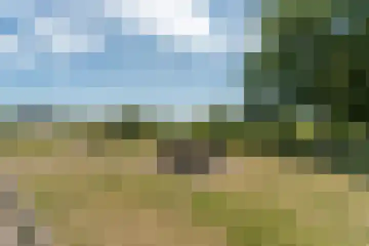 Lagestraat 7 Dieren thumbnail 72