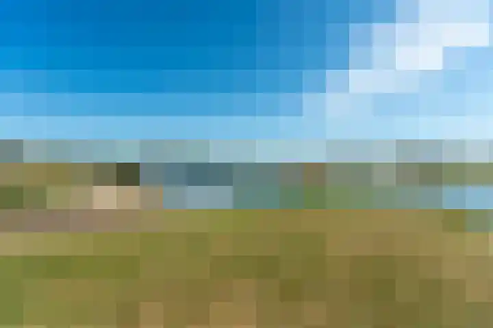 Lagestraat 7 Dieren thumbnail 73