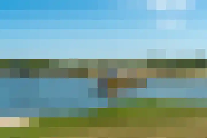Lagestraat 7 Dieren thumbnail 74